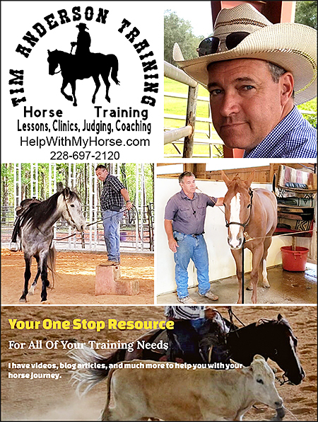 Tim Anderson Horse Training on InfoHorse.com