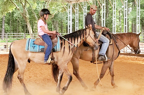 Horse Riding Lessons