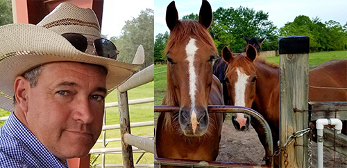Tim Anderson How to Start a Profitable Horse Business