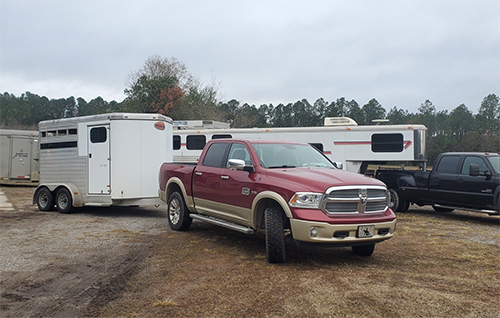 Hauling Horses