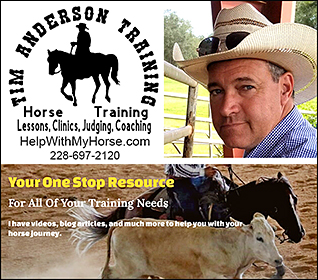 Tim Anderson Horse Training