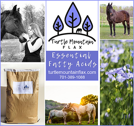 Turtle Mountain Flax for Horses