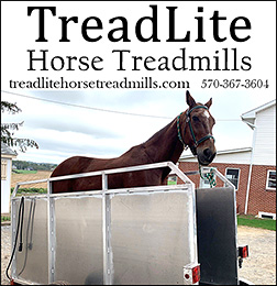 Treadlite Horse Treadmills