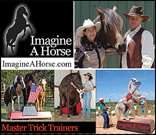 Teach your horse tricks!