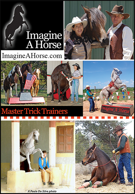 Teach Your Horse Tricks