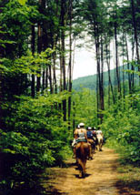 Riding Trails at Valley View Ranch