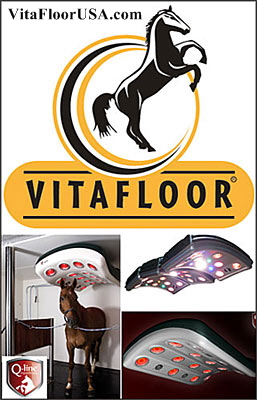 VitaFloorUSA.com