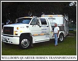 Wellborn Quarter Horses
