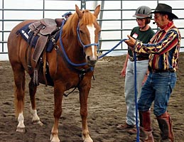 Steve Werklund Horse Trainer