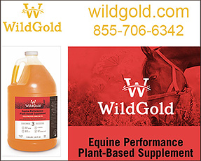 WildGold Omega Supplement for Horses