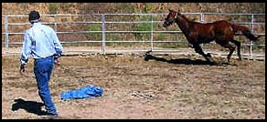 Charles F. Wilhelm Horse Training Clinician