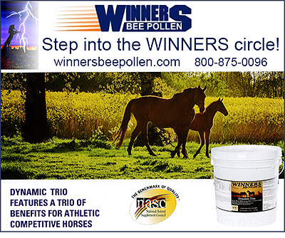 Winners Bee Pollen for Horses!