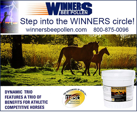 Winners Bee Pollen Anti-oxidant for Horses