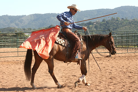 Introducing flag while mounted.