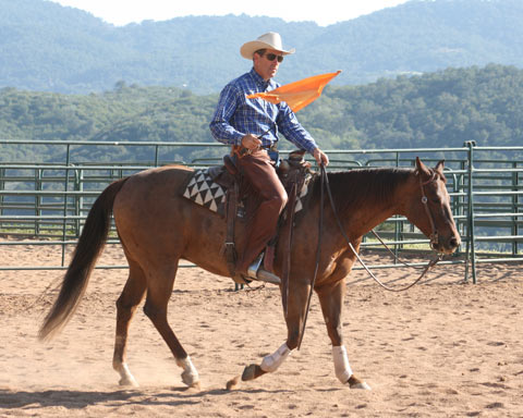 Mounted, introducing smaller flag.