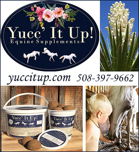 Yucc' It Up Equine Supplements