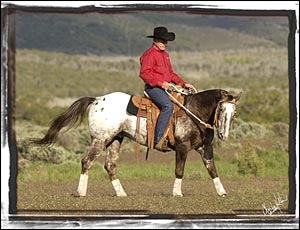 John riding Bright Zip